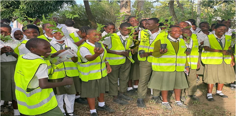 Reforestation Efforts